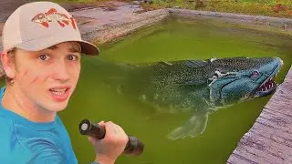Encontrei o peixe mais mortal do mundo numa piscina abandonada!