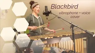 Blackbird by The Beatles | vibraphone and voice cover