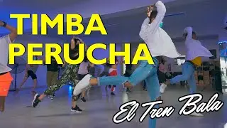 TIMBA PERUCHA - El Tren Bala - Coreograf&iacute;a Barbaro Fines y su  Mayimbe