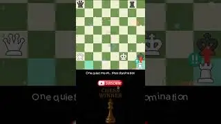 The Most Brilliant Move in This Position ♟️🔥 | Chess Winner #chess #shorts #checkmate #brilliant