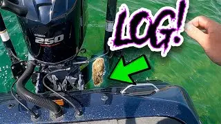 MY BOAT GOT STUCK!!! Never Fished Here Before But It Produced Some FUN Topwater BLOWUPS!