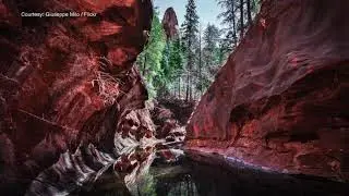 Let's Go Places in Arizona: Oak Creek Canyon bursts with color in fall