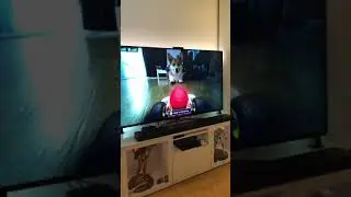 Mario vs Corgi 🦊