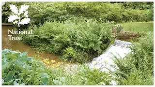 Enjoy the tranquil cascade at Mottisfont - Slow TV from the National Trust
