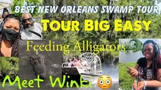BEST SWAMP TOUR IN NEW ORLEANS / TOUR BIG EASY AIR BOAT  TOUR / FEEDING ALLIGATORS FROM THE BOAT