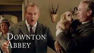 Lord Grantham's New Puppy | Downton Abbey