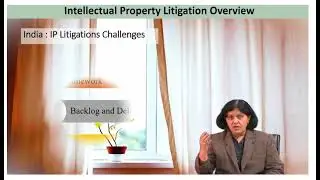 Challenges to IP Litigation-National Level