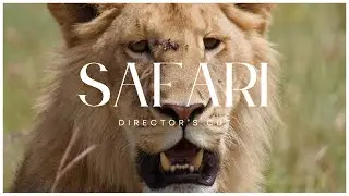 Tanzanian Safari 2024 - Director's Cut