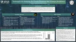 Techniques for Studying the Florida Bonneted Bat by Natalia Fuentes & Garrett Goossens