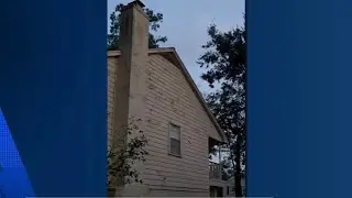Bat infestation takes over rental home