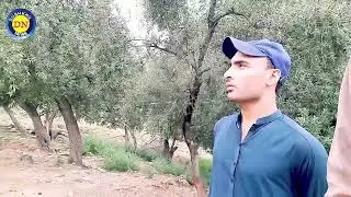 Thousand years old graveyard Pakistan || Travel vlogs || Malakand