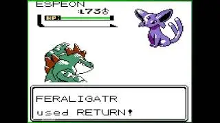 This is The Final Pokemon Battle Against Red in Pokemon Gold. 
