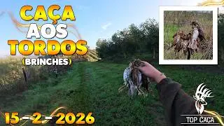 CA&Ccedil;A AOS TORDOS BRINCHES 15-2-2026