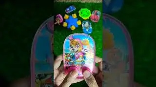 paw patrol#watergames#squidgame#pawpatrol#short