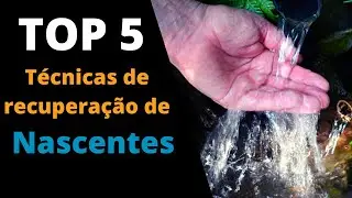 Top cinco técnicas de recuperação de nascentes