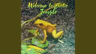 Exotic Jungle