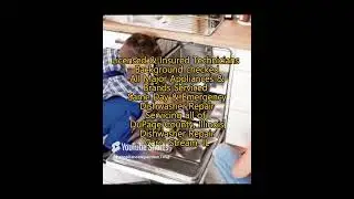 Dishwasher Repair Carol Stream, IL 630-239-1236