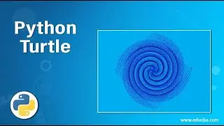 What is Turtle in Python? | Tips and Tricks in Turtle | Draw a Robot