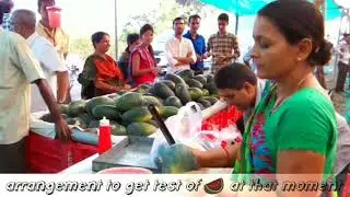 VRUNDAVAN ORGANIC FARM...