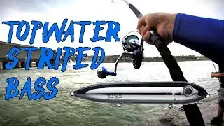 TOPWATER STRIPED BASS DAM FISHING EPIC STRIPER HMONG