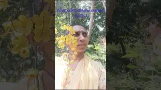 ഒരു കൊന്ന മരത്തിന്റെ ധീന രോധനം ☹️ #gayathriathira #minivlog #shortsvideo #vishuspecial #konnappov