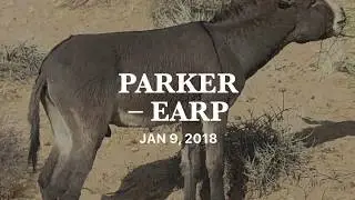 Earp, California