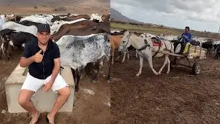 Junior Vianna - Na Fazenda Cajazeiras 