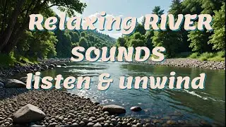 Magic of Aotearoa New Zealand's River Sounds