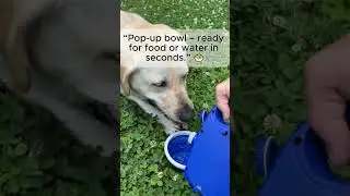 The Ultimate Leak-Proof Dog Water Bottle for Walks & Travel 🐶💧 &ndash; Hydraleash&trade;