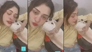 Actress Payal Rajput Playing With Her Cute Pet Dog | Payal Rajput Latest Video  | Filmyfocus.com
