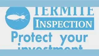 Empire Inspectors - Termite Protection Plan - Home Inspection | Call Us!