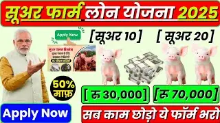 Suar Palan Loan Yojana 2025 | सुअर पालन लोन कैसे लें | Pig Farming Loan 2025 #pigfarming #suar 
