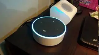 Amazon Echo Dot 4