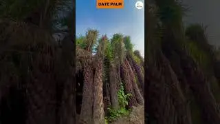 wait for the End.😂