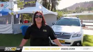2013 Almaden Valley Art and Wine Festival | DGDG.com