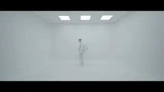 Dipsy Do - Private Flight (official video)