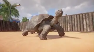 Planet Zoo: Galapagos Giant Tortoise