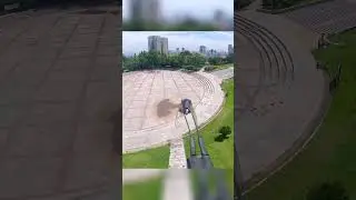 Cicada flies on a drone, this is its first class. #drone #fpv #dronelife