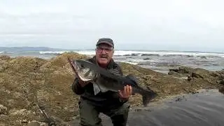 Repuntando la bajamar