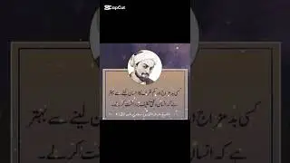 #islamicshorts #islamicquotes #islamicsayings #islamicvideo #wisdom #spokenword #love #lovereading