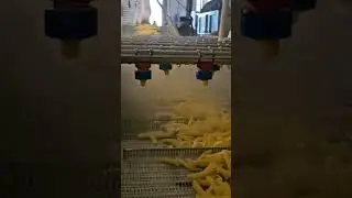 POTATO PROCESSING FACILITY FACTORY MACHINES # FROZEN FRENCH FRIES PRODUCTION LINE