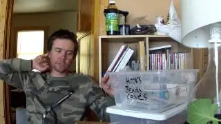 grey reef primer (the fishing)