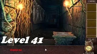 Can you escape the 100 room 13 Level 41 Walkthrough