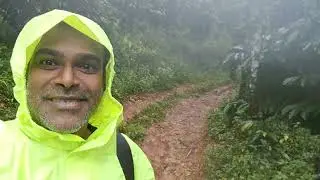 Merthi Gudda Trek &ndash; Offbeat Charmadi Ghat Adventure | Karnataka Forest Booking Info Inside