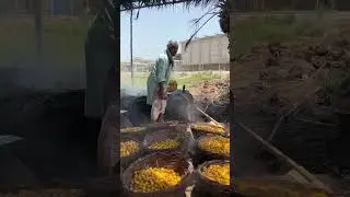 Process of Making Dry Dates in Khairpur Mirs