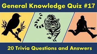 General Knowledge Quiz #17 (20 Trivia Questions and Answers)