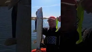 Мои ТОП приманки на щуку 2021 #shorts