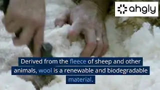 The World of Natural Fiber Rugs Sustainable Durable and Stylish Options