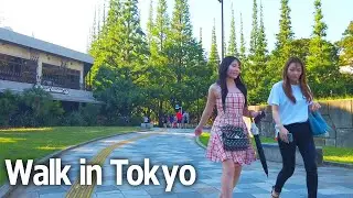Tokyo Walking Tour - Meiji Jingu Gaien, Ginkgo trees and stadium♪ (July 2023)