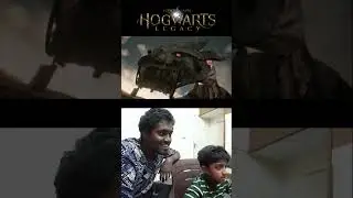 Is that a Dragon? #hogwartslegacy #deaedlydorks #kannada #gaming #deadlinesuri #bujja